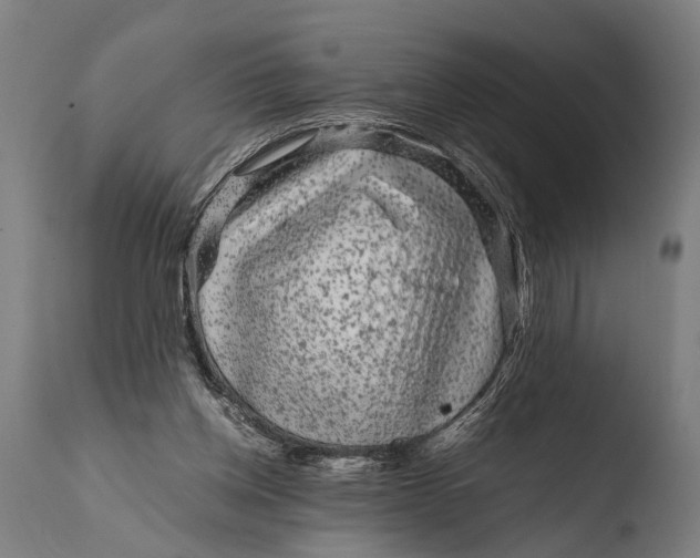X0000108480158200904241309