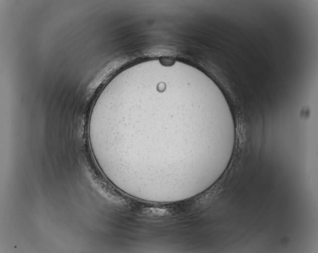 X0000108480159200904241309