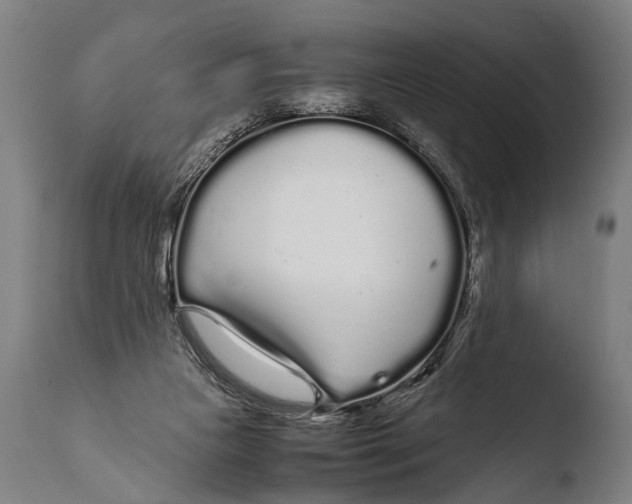 X0000108480161200904241309