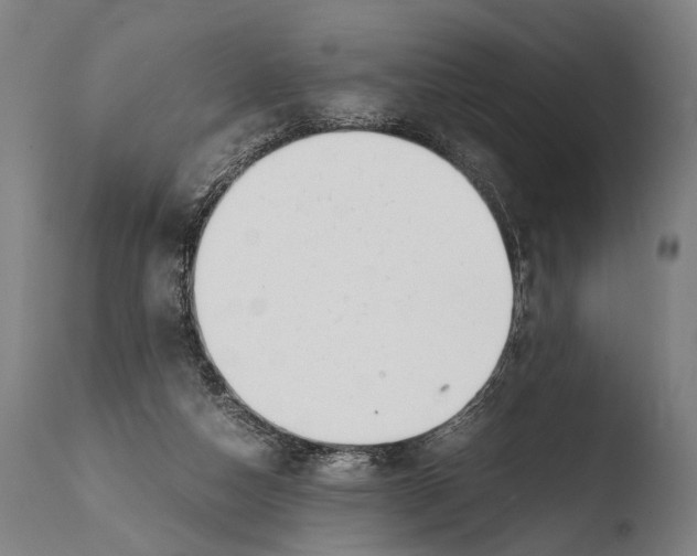 X0000108480162200904241309