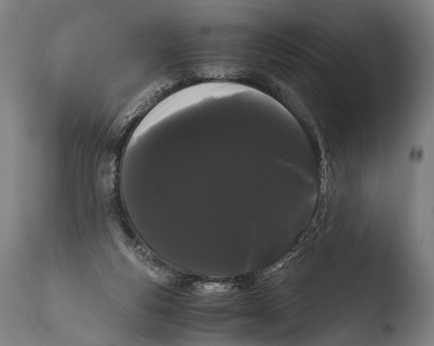 X0000108480163200904241309