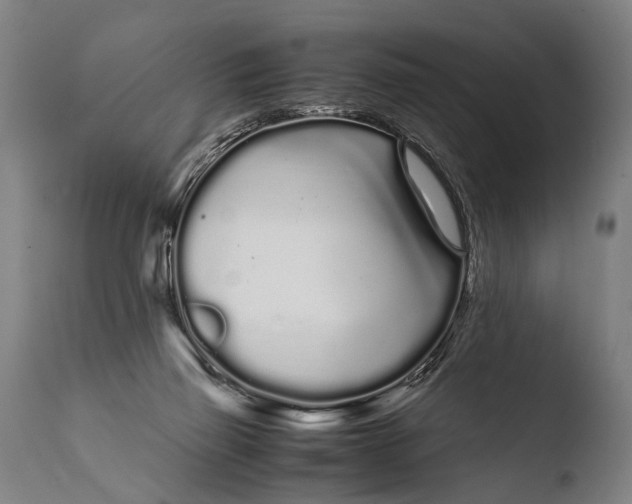 X0000108480165200904241309