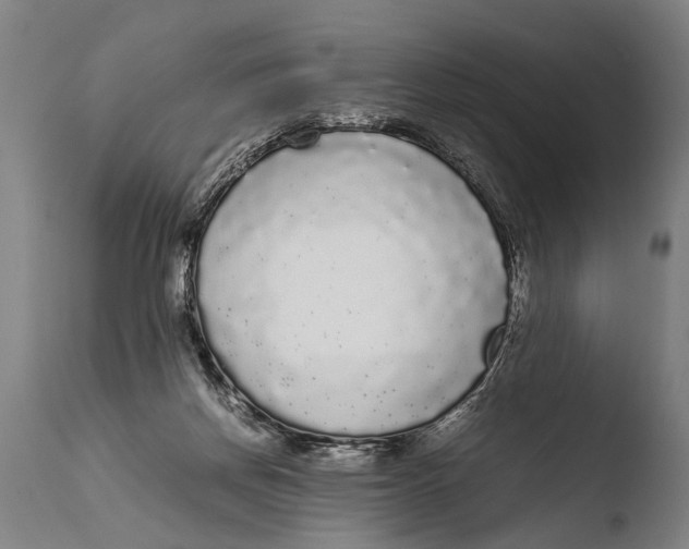 X0000108480166200904241309
