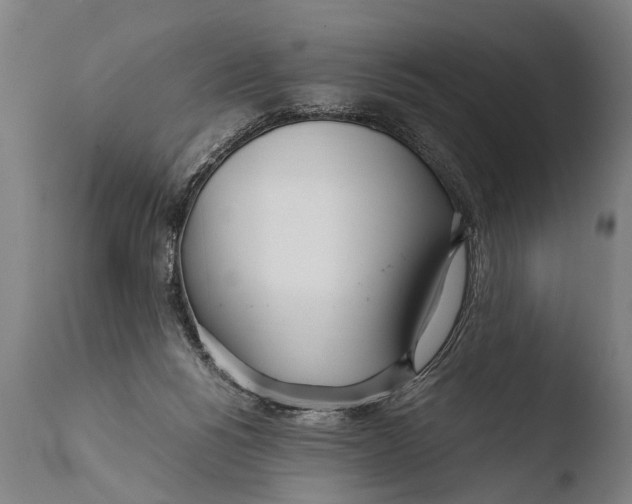 X0000108480168200904241309