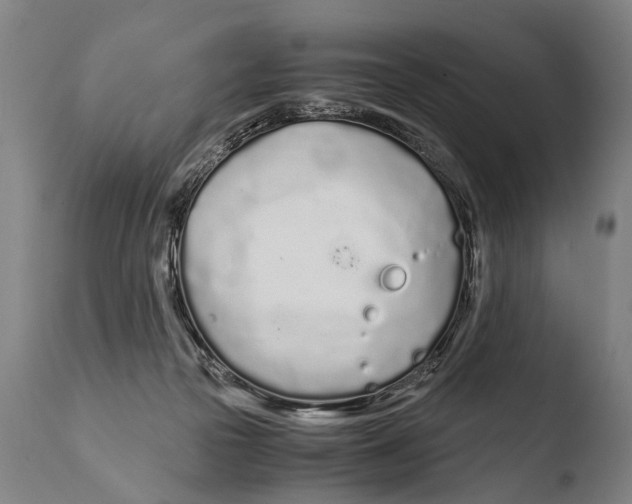 X0000108480169200904241309