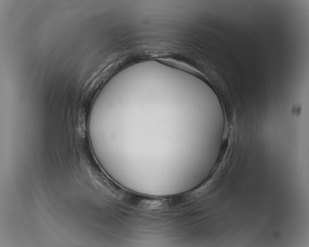 X0000108480170200904241309