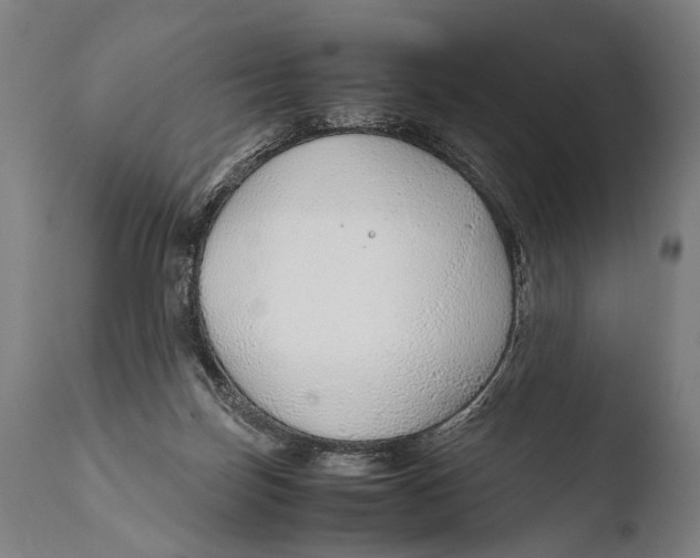 X0000108480171200904241309