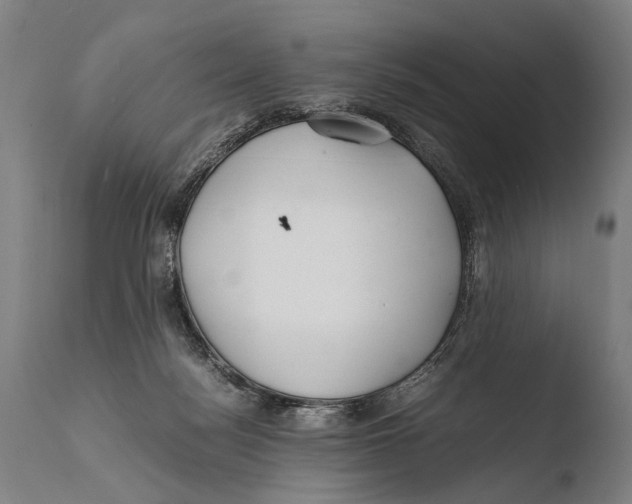 X0000108480172200904241309