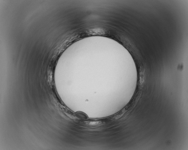 X0000108480173200904241309