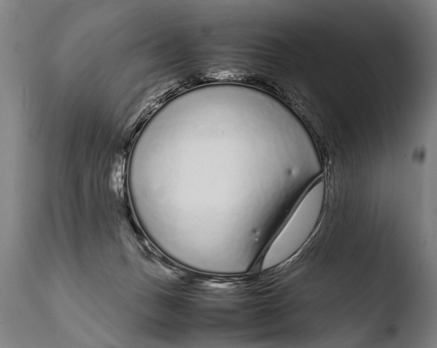 X0000108480175200904241309