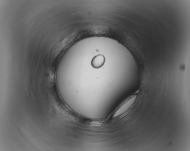 X0000108480176200904241309