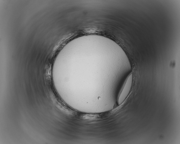 X0000108480179200904241309