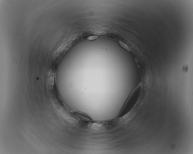 X0000108480180200904241309