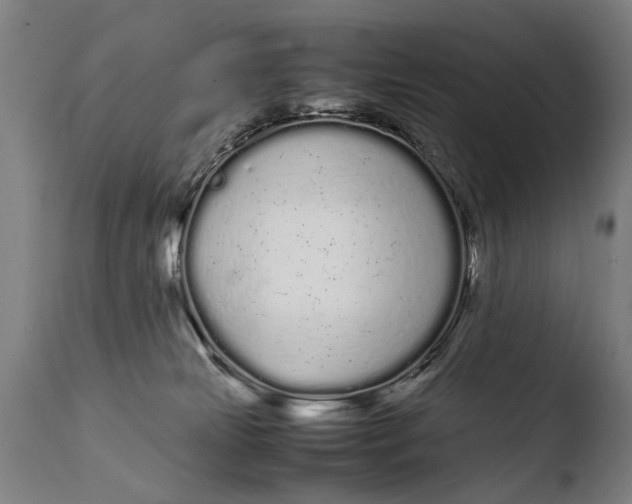X0000108480181200904241309