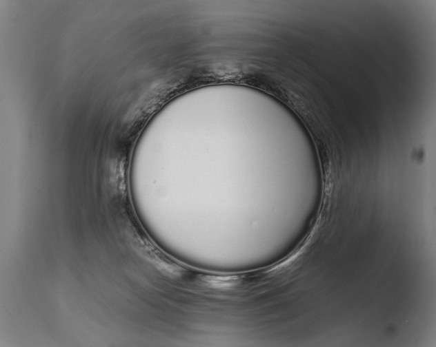 X0000108480182200904241309