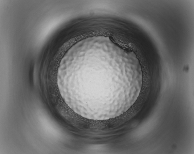 X0000108480189200904241309