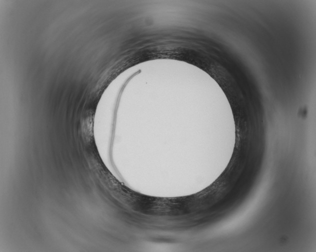 X0000108480190200904241309