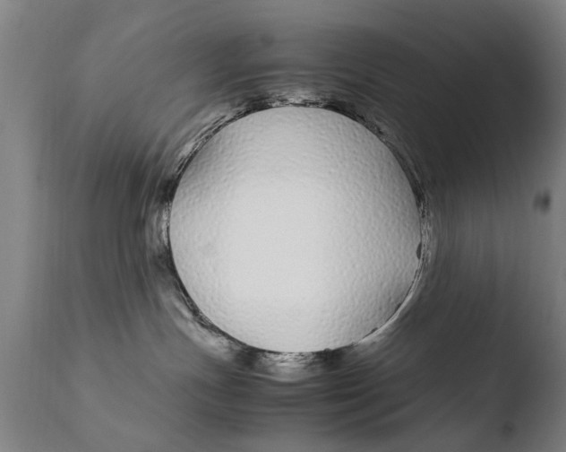 X0000108480191200904241309