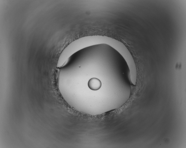 X0000108480192200904241309