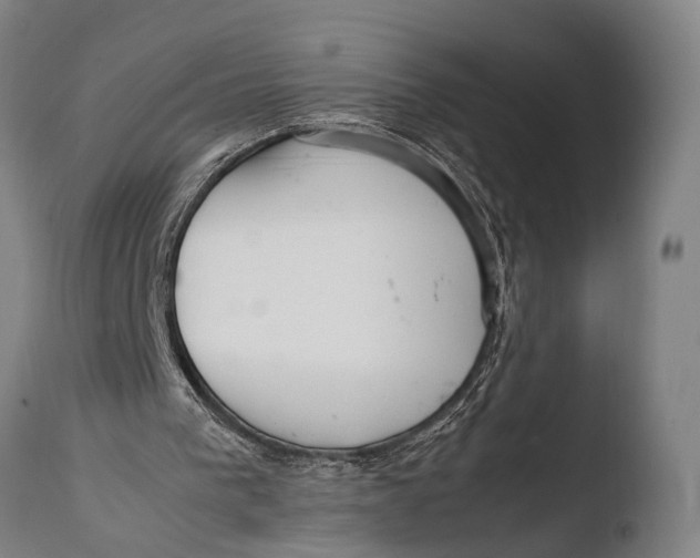 X0000108480193200904241308