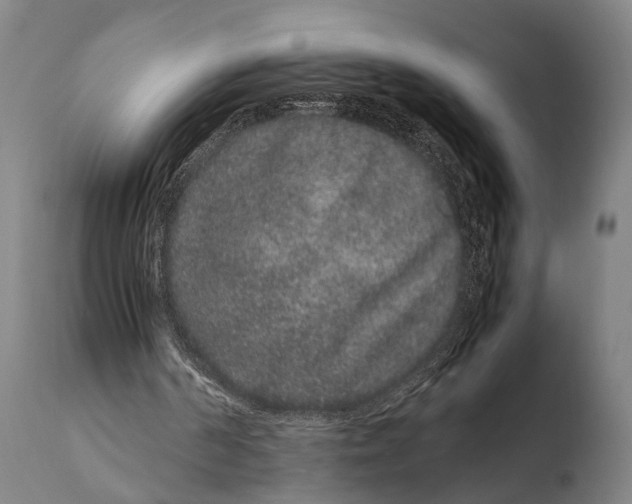 X0000108480194200904241308