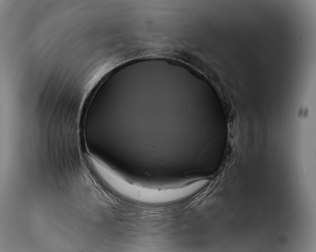 X0000108480196200904241308