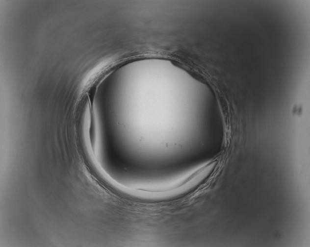 X0000108480197200904241308