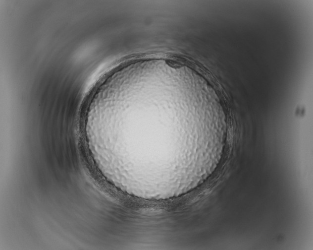 X0000108480198200904241308