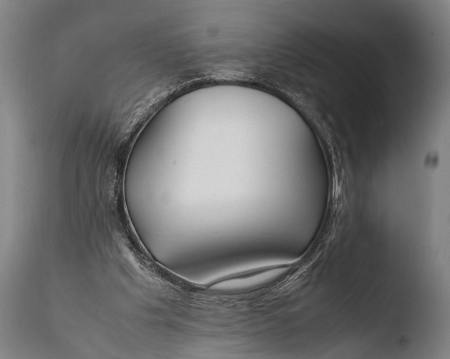 X0000108480201200904241308