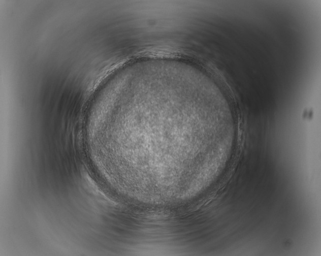 X0000108480202200904241308