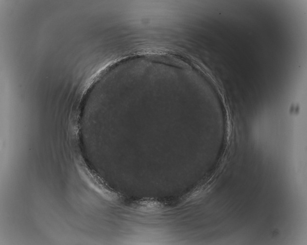 X0000108480203200904241308