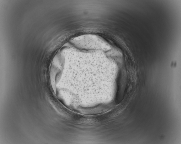 X0000108480205200904241308