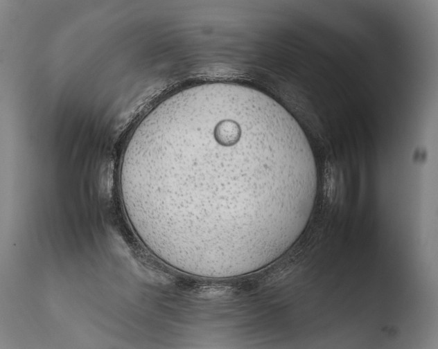 X0000108480206200904241308