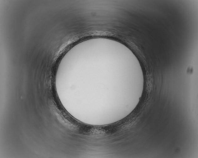 X0000108480207200904241308