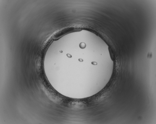X0000108480208200904241308