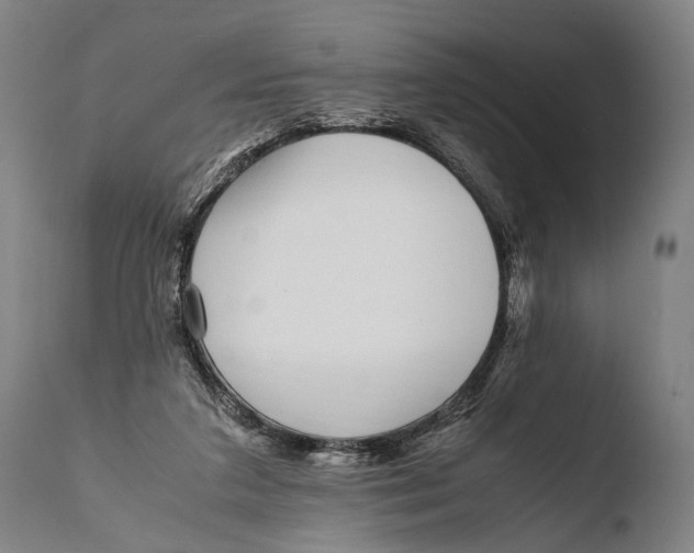 X0000108480211200904241308