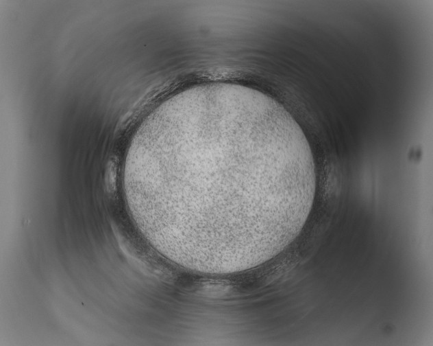 X0000108480214200904241308