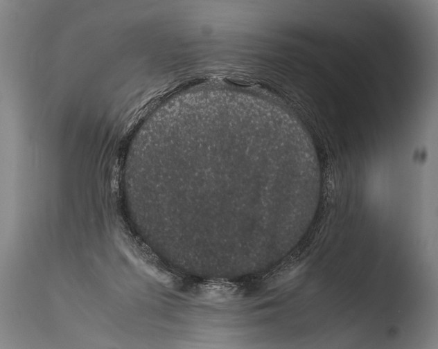 X0000108480215200904241308