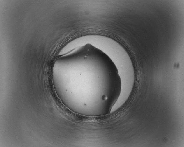 X0000108480217200904241308