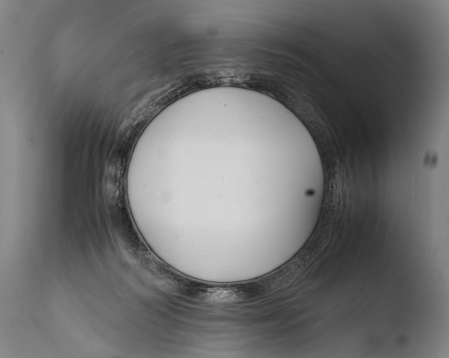 X0000108480218200904241308