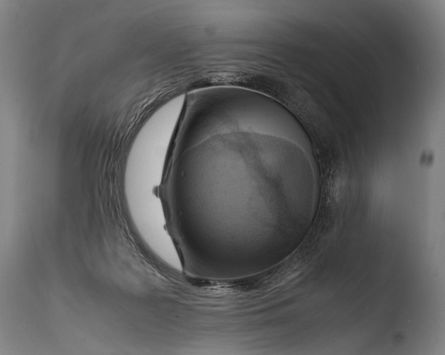 X0000108480219200904241308