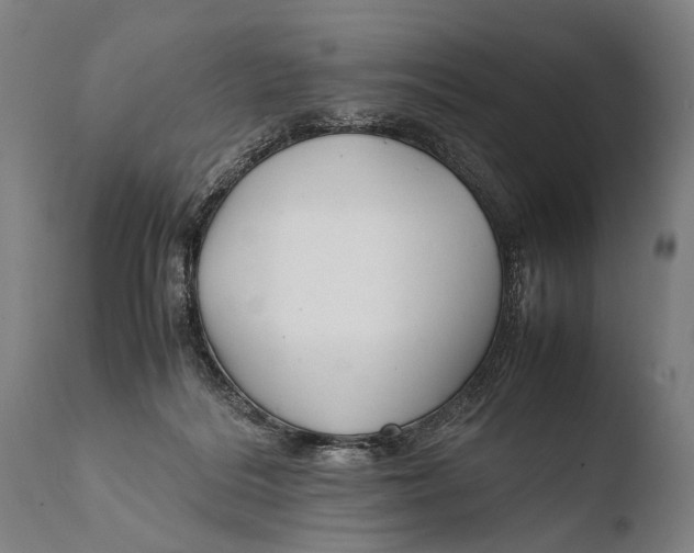 X0000108480220200904241308