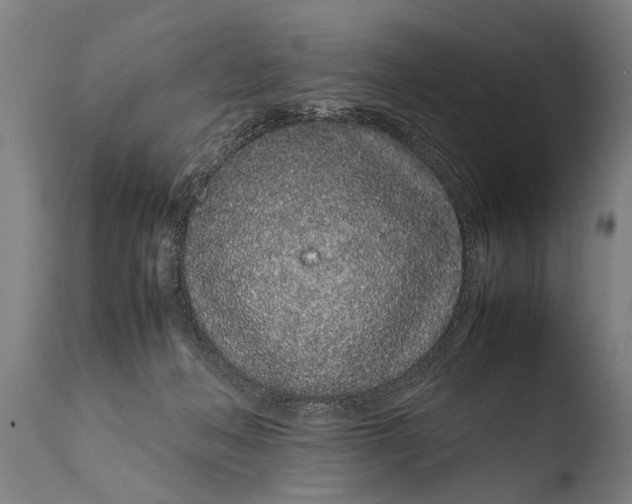 X0000108480222200904241308