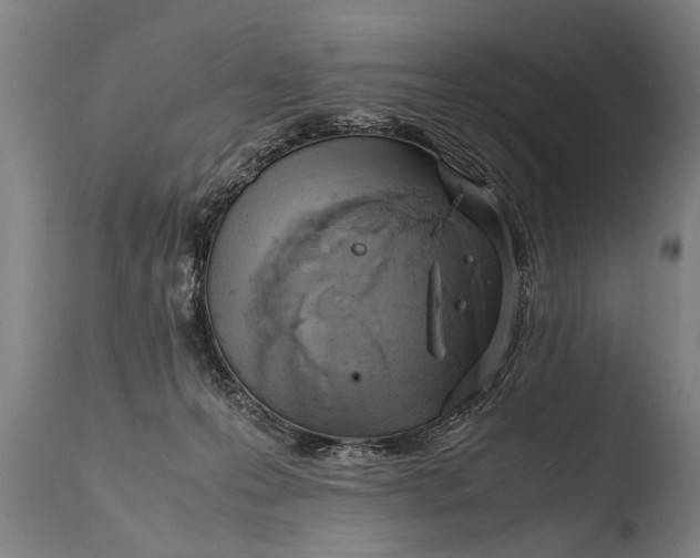 X0000108480223200904241308