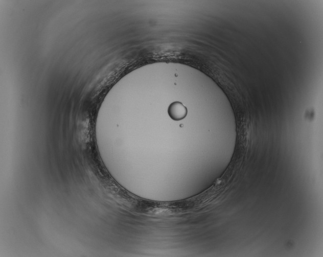 X0000108480224200904241308