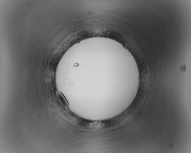X0000108480225200904241308