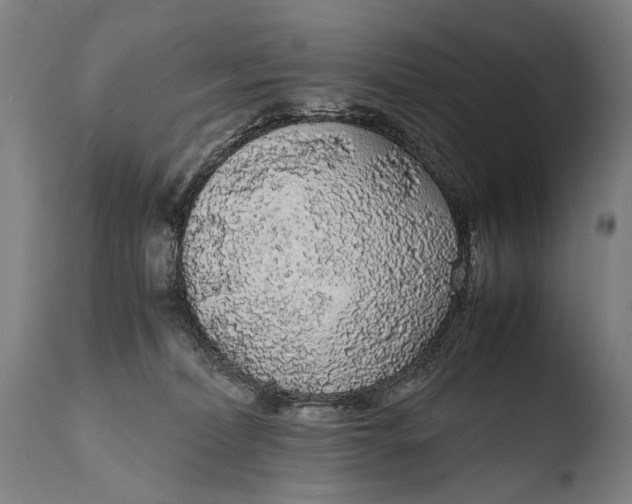 X0000108480228200904241308