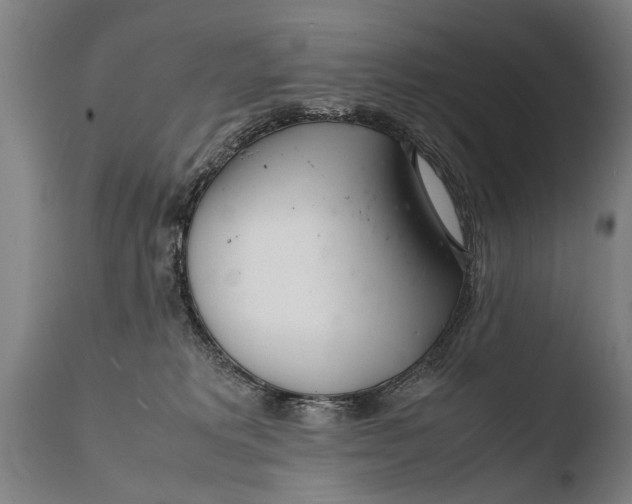 X0000108480229200904241308