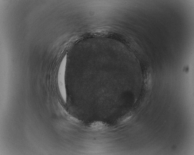 X0000108480231200904241308
