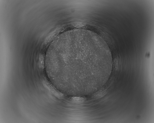 X0000108480234200904241308